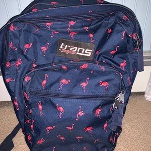 Transport by Jan sport backpack